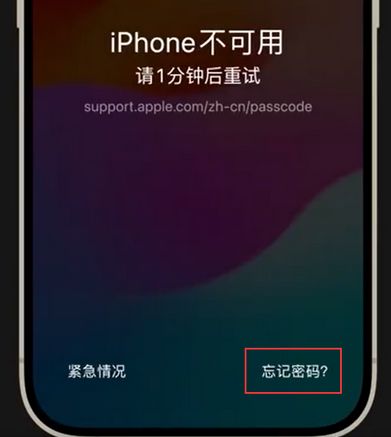 木棠镇苹果手机密码维修分享iPhone忘记了刚设置的密码 