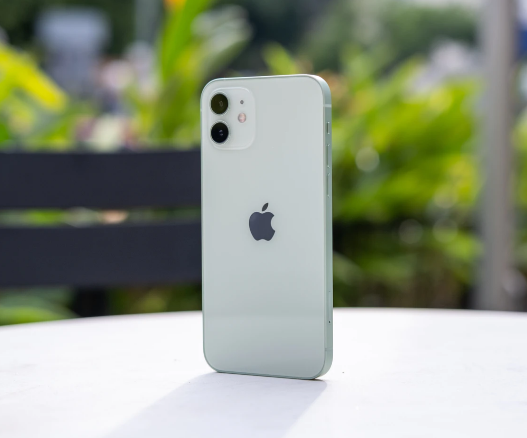 木棠镇苹果手机维修分享iPhone 12 不慎落入水中如何处理 