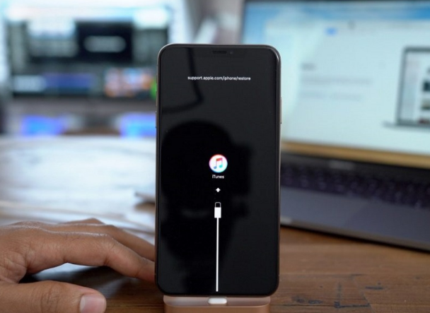木棠镇苹果手机维修分享iPhone12进DFU教程 